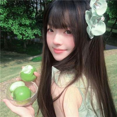 圣地可可西里 高清海报